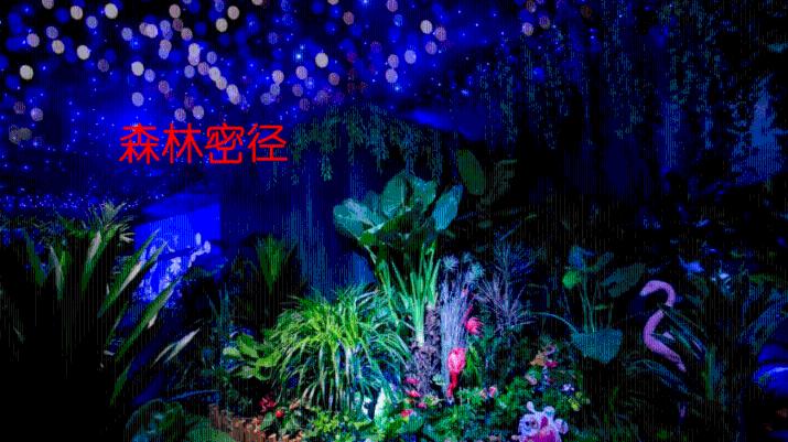 用心珍藏冷知识，探索[憨笑]求解！老师像学生这么大的时候，学生才三岁，学生像老师这么大的时候，老师39岁，请问老师多少平台